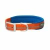 Terrain D.O.G. Reflective Neoprene Lined Collar, Orange, 3/4" x 15" - 07-0860-R3-15 - Dog Collars & Leashes -Pets & Wildlife Sales Store 955af50bf2fce5b5c739f89e89cf188e3bd3811b 67531452