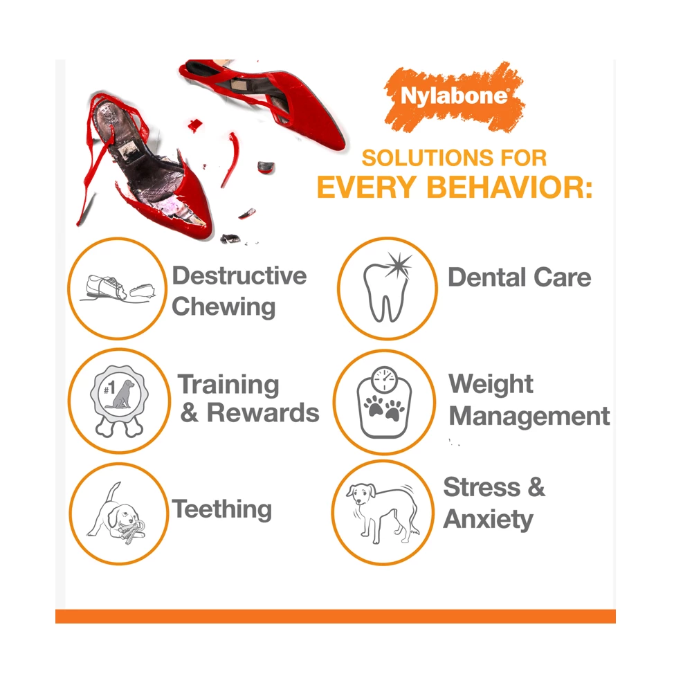 Nylabone Just for Puppies Teething Chew Toy, Chicken, Small/Regular, 1 Count - Dog Toys 8 Nylabone Just for Puppies Teething Chew Toy, Chicken, Small/Regular, 1 Count - Dog Toys - Image 6