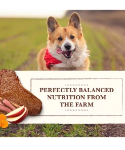 Whole Earth Farms Small Breed Recipe Beef Dinner, 3.5 oz. Can - Wet Dog Food 9 Whole Earth Farms Small Breed Recipe Beef Dinner, 3.5 oz. Can - Wet Dog Food -Pets & Wildlife Sales Store 96b780207103a75378034218ad0e4b8e52348d03 13735726 1