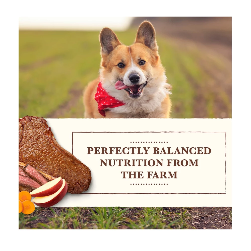 Whole Earth Farms Small Breed Recipe Beef Dinner, 3.5 oz. Can - Wet Dog Food 5 Whole Earth Farms Small Breed Recipe Beef Dinner, 3.5 oz. Can - Wet Dog Food - Image 3