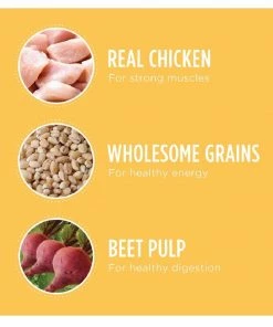 Iams ProActive Health Smart Puppy Large Breed Dry Dog Food, 30.6 lb. Bag 18 Iams ProActive Health Smart Puppy Large Breed Dry Dog Food, 30.6 lb. Bag -Pets & Wildlife Sales Store 97e5b7ecf245339a4fcc58664a6d5ab7cdaee176 10951563 10