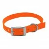 Scott Pet Single Ply Collar - 1413HO08 - Dog Collars & Leashes -Pets & Wildlife Sales Store 981149268f5932fcc6376ae19b2f49447df7cead 20809590