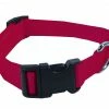 Scott Pets Adjustable Collar 1426 - Dog Collars & Leashes 2 Scott Pets Adjustable Collar 1426 - Dog Collars & Leashes -Pets & Wildlife Sales Store 983046f1b478f2d6d5fd522aa294370c394d58cb 1426 collar scott pets dog med 1