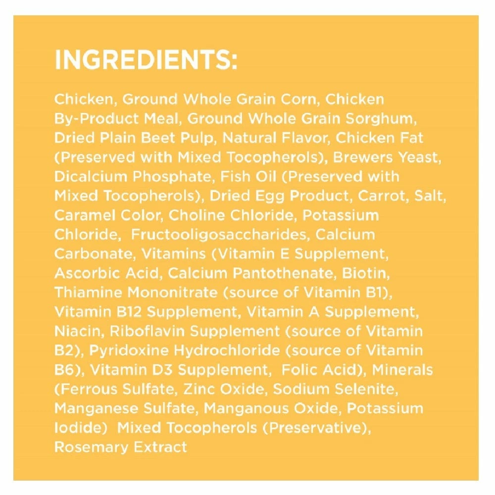 Iams ProActive Health Smart Puppy Chicken & Whole Grains Recipe Dry Puppy Food, 7 lb. Bag - Dry Dog Food 4 Iams ProActive Health Smart Puppy Chicken & Whole Grains Recipe Dry Puppy Food, 7 lb. Bag - Dry Dog Food - Image 2