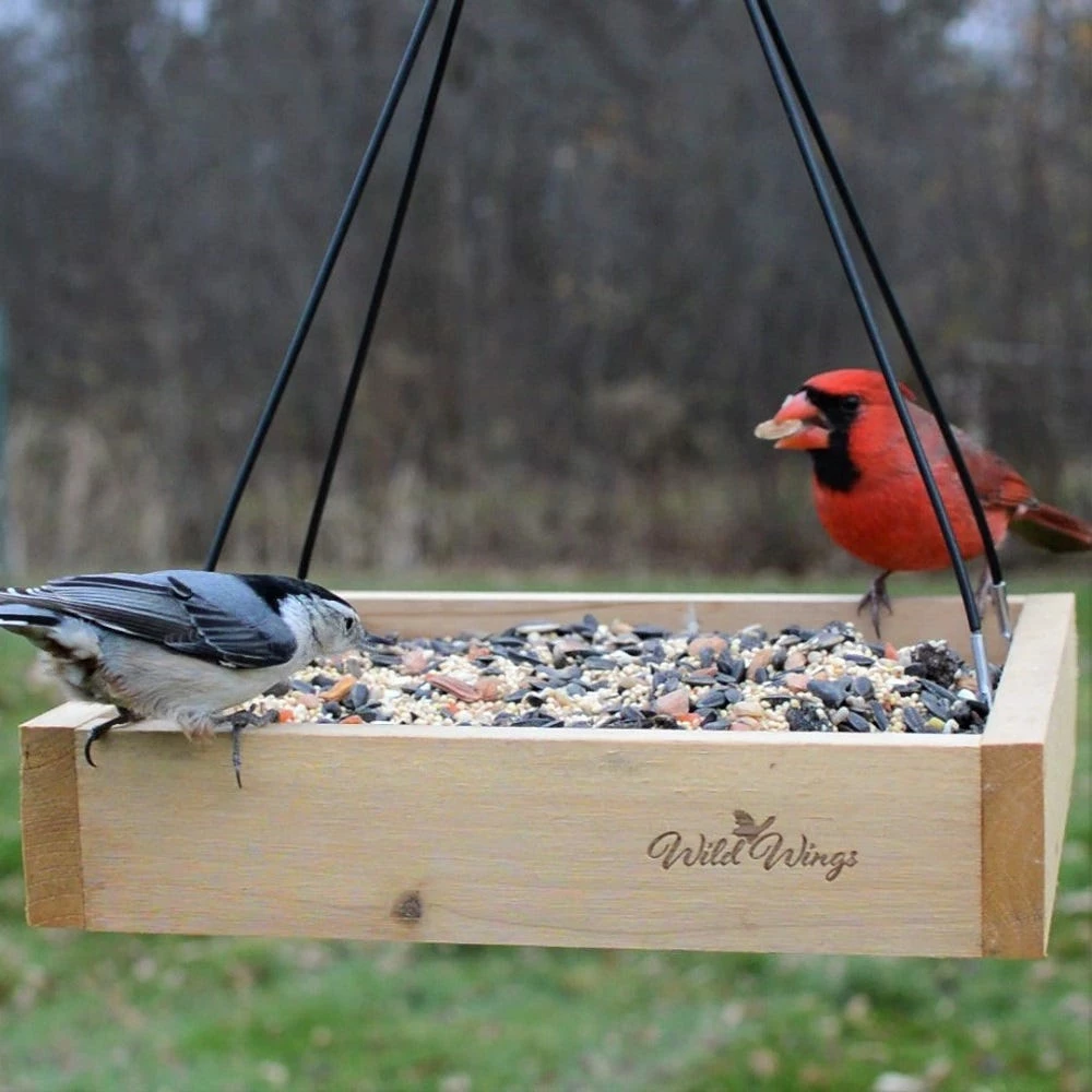 Nature's Way Cedar Tray Wild Bird Feeder - WWCF23 - Wild Bird Feeders 9 Nature's Way Cedar Tray Wild Bird Feeder - WWCF23 - Wild Bird Feeders - Image 7