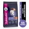 Eukanuba Puppy Medium Breed Chicken Formula Dry Dog Food, 33 lb. Bag -Pets & Wildlife Sales Store 9b0c312dfc7e730926cd0102f22b7500f59a4efd 10951189