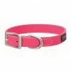 Terrain D.O.G. Brahma Webb® Dog Collar 3/4 x 13 Inch, Hot Pink - 07-3125-HP-13 - Dog Collars & Leashes -Pets & Wildlife Sales Store 9cda50bd0c353d489afa214256fd633823e1a899 67531575