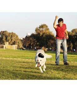 Kong®Extreme Lg - Dog Toys -Pets & Wildlife Sales Store 9d894eda7fcfe22259c7a4c6eda1ef2be341d222 k1 5