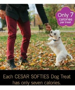 Pedigree Cesar Softies Filet Mignon Flavor Chewy Dog Treats, 6.7 oz. Pouch (75 Treats) -Pets & Wildlife Sales Store 9d8d277ccb14cd6cbf4b7690821cc0781259ae2c 70200227 4