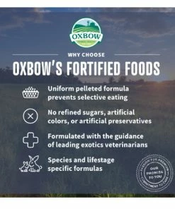 Oxbow Simple Harvest Adult Rabbit Food, 8 lb. Bag - Small Animal Feed & Treats -Pets & Wildlife Sales Store 9de9ceee6e9be3870c034f5c782297baea241639 667980005 6