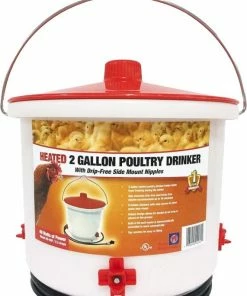Farm Innovators Heated 2 Gallon Poultry Drinker HB-60P - Livestock Supplies