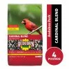 Audubon Park Cardinal Blend Wild Bird Food, 4 lb. Bag - Bird Seed & Food -Pets & Wildlife Sales Store 9f016068fa259aead93be56ea697f25d2b09afc8 56240009