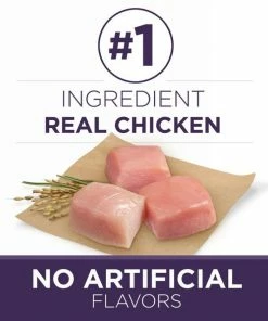 Purina ONE SmartBlend Vibrant Maturity Adult 7+ Formula Dry Dog Food with Real Chicken, 8 lb. Bag -Pets & Wildlife Sales Store 9f29e19b830f4d5d400336aebd8031c55ade2865 352020254 7