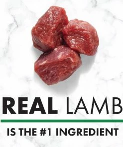 Nutro Natural Choice Small Bites Lamb & Brown Rice Recipe Adult Dry Dog Food, 30 lb. Bag -Pets & Wildlife Sales Store a1d69254b12562cf1d376fd3cd142852a9207d13 75490438 2