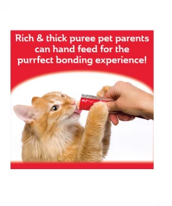 Hartz Delectables Squeeze Up, Variety Pack, 20 count - Cat Treats -Pets & Wildlife Sales Store a2690f92bd64aa9bad2da73fe868dd655a211608 2022016811 2