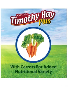 Kaytee Timothy Hay Plus, Carrots, 24 oz. Bag - 100502648 - Rabbit Feed -Pets & Wildlife Sales Store a28711359fe62e6079e3d727b5b576aa5db9052a 14583109 4