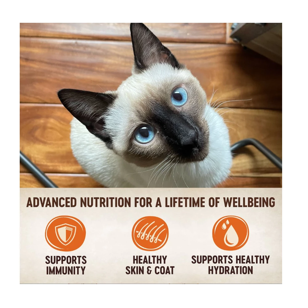 Wellness CORE Tiny Tasters Wet Cat Food, Chicken, 1.75 oz. Pouch - Dog Treats 5 Wellness CORE Tiny Tasters Wet Cat Food, Chicken, 1.75 oz. Pouch - Dog Treats - Image 3