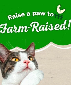 Purina Friskies Farm Favorites Meaty Bits With Whitefish & Spinach Natural Wet Cat Food, 5.5 oz. Can -Pets & Wildlife Sales Store a427b92d2d666d13fe028d608217674a40f48f4e 352020221 6