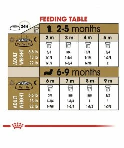 Royal Canin® Breed Health Nutrition® Dachshund Puppy Dry Dog Food, 2.5 lb. Bag -Pets & Wildlife Sales Store a52a5b1b2b0cd661d72d2c34b040c9c4a9fa73c3 2022023163 5