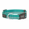 Terrain D.O.G. Reflective Snap-N-Go Adjustable Dog Collar, Large, Mint 07-0857-R8 - Dog Collars & Leashes -Pets & Wildlife Sales Store a63d6cd08df3d48929ade82a91ecca7a06eae5a7 67531413