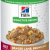 Hill's Bioacitve Recipe Adult Braised Lamb - Brown Rice and Carrot Stew Canned Dog Food 12.8 oz Can 603758 - Wet Dog Food