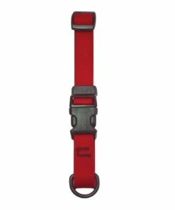 Scott Pet Small/Medium Adjustable Dog Collar, Red - 1747RD - Dog Collars & Leashes