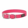 Terrain D.O.G. Brahma Webb® Dog Collar, Hot Pink, 1" x 23" - 07-3126-HP-23 - Dog Collars & Leashes -Pets & Wildlife Sales Store a9170175abb63d6035031ede5dfad996aaddb1d1 67531590