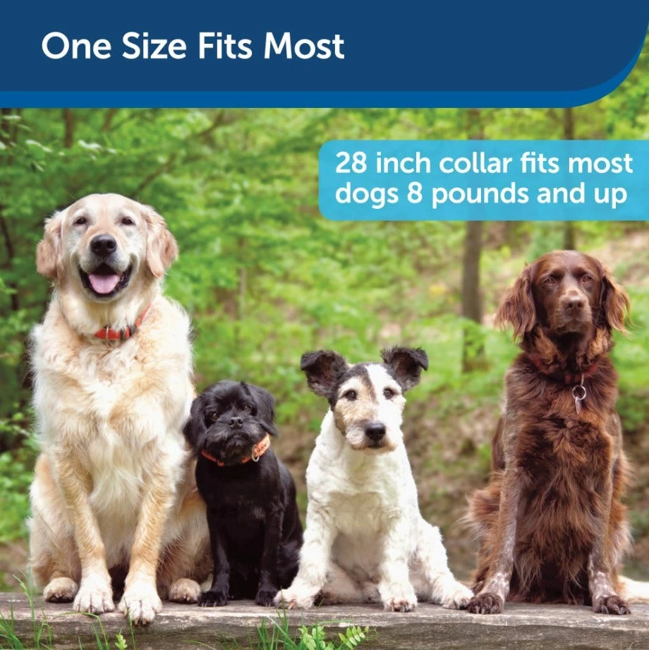 PetSafe® SMART DOG® Trainer - PDT00-15748 - Dog Training & Behavior 8 PetSafe® SMART DOG® Trainer - PDT00-15748 - Dog Training & Behavior - Image 6