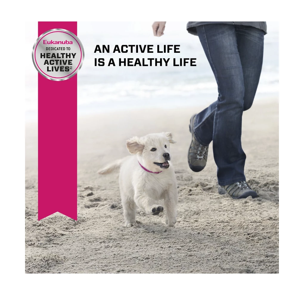 Eukanuba™ Puppy Large Breed Dry Dog Food, 16 lb. Bag 9 Eukanuba™ Puppy Large Breed Dry Dog Food, 16 lb. Bag - Image 7