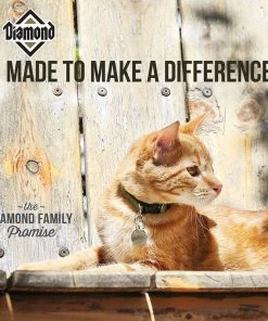 Diamond Maintenance Cat Adult Dry Cat Food, 20 lb. Bag -Pets & Wildlife Sales Store abd74b5fcfc33dc10ee12659c635b14a054d3375 60610058 4
