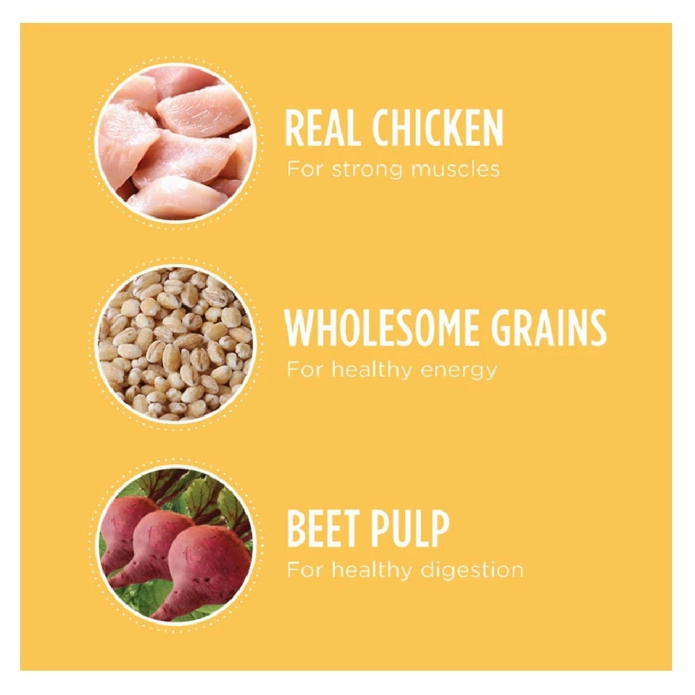 Iams ProActive Health Smart Puppy Chicken & Whole Grains Recipe Dry Puppy Food, 7 lb. Bag - Dry Dog Food 12 Iams ProActive Health Smart Puppy Chicken & Whole Grains Recipe Dry Puppy Food, 7 lb. Bag - Dry Dog Food - Image 10