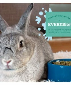 Oxbow Simple Harvest Adult Rabbit Food, 8 lb. Bag - Small Animal Feed & Treats -Pets & Wildlife Sales Store ad0adad3b20dbc0f52ce490be02c943d940b7b4a 667980005 4