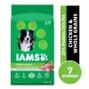 Iams Mini-Chunks Chicken & Whole Grains Recipe Adult Dry Dog Food, 7 lb. Bag -Pets & Wildlife Sales Store ae4bfe974dcc30642229911a306da60a6aaa2102 10951437