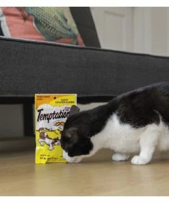 Temptations Tasty Chicken Flavor Cat Treats, 16 oz. Tub - Cats -Pets & Wildlife Sales Store b01a9d96ae6fcb4e419e2d04c2ed20e06fed87da 70200569 5