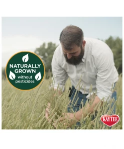 Kaytee Timothy Hay Plus, Carrots, 24 oz. Bag - 100502648 - Rabbit Feed -Pets & Wildlife Sales Store b0a6608679498273ecc607de31af644f0cc20b2b 14583109 11