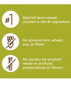 Rachael Ray Nutrish Super Premium Real Chicken & Brown Rice Recipe Dry Cat Food, 14 lb. Bag -Pets & Wildlife Sales Store b2907f30e3c9408fd672ae480a96472e98cdc7d3 11022201 2