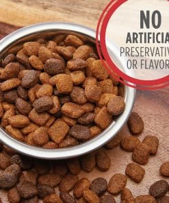 Iams Mini-Chunks Adult Lamb & Rice Recipe Dry Dog Food, 15 lb. Bag -Pets & Wildlife Sales Store b29171106da90f0be9d6d9c6184d8731a426c0c2 10951479 5