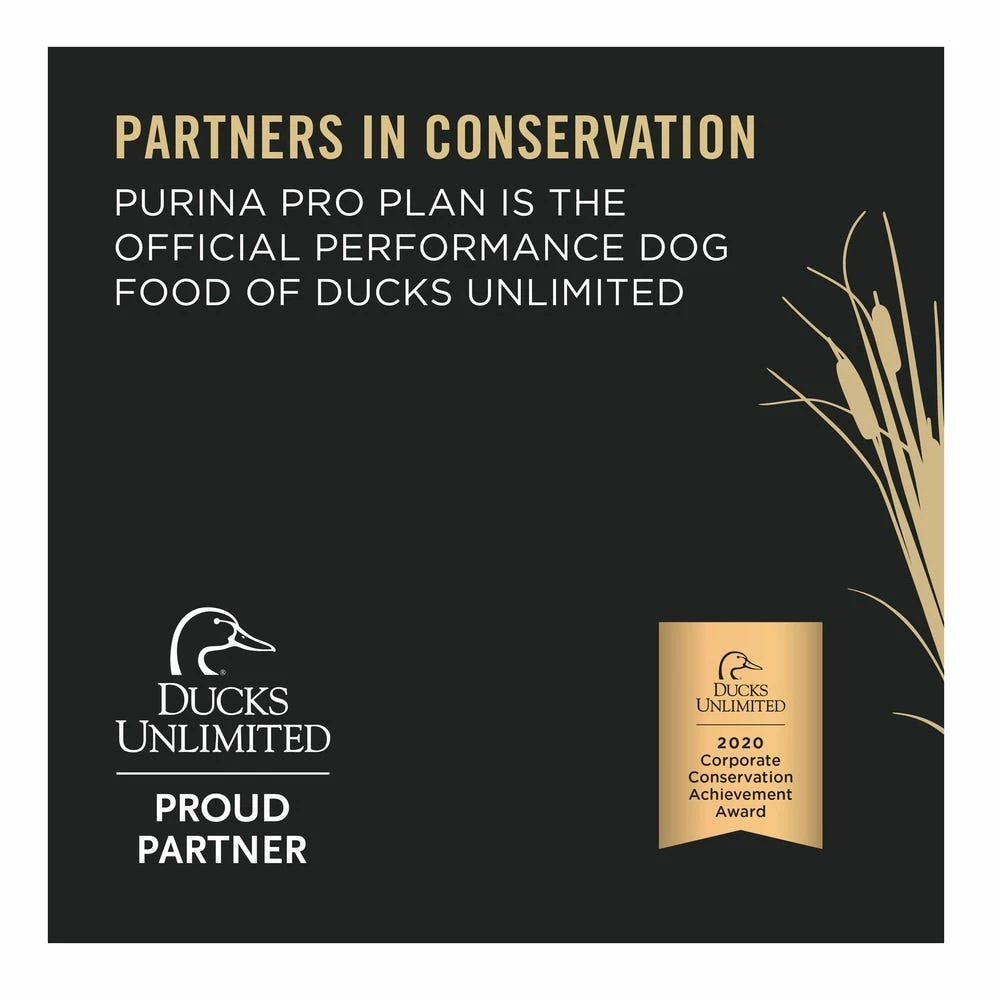 NESTLE PURINA PETCARE CO Purina Pro Plan Sport High Protein Wet Dog Food Variety Pack, (12) 13 oz. Cans 12 NESTLE PURINA PETCARE CO Purina Pro Plan Sport High Protein Wet Dog Food Variety Pack, (12) 13 oz. Cans - Image 10
