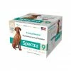 Durvet Canine Spectra 9 1 ds - 051968 - Parasite Treatments -Pets & Wildlife Sales Store b4032f3d86bebda459209e2f4dc4049e3dd5e2e1 1740314
