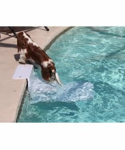 Fido Pet Products - Paws Aboard PoolPup Steps for Pets - 5300 - Dog Houses & Kennels -Pets & Wildlife Sales Store b627e548ae2e133773a18713c341a10ba06d028f 28645045 3
