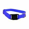 Scott Pet Adjustable Xtra-Small Dog Collar, Blue - 1424BLXS - Dog Collars & Leashes -Pets & Wildlife Sales Store b75fee07a6475c44690a6650b7d9efbe65eecc29 20801955