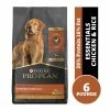 Purina Pro Plan Shredded Blend Chicken & Rice Formula Adult Dry Dog Food - 6 lb. Bag