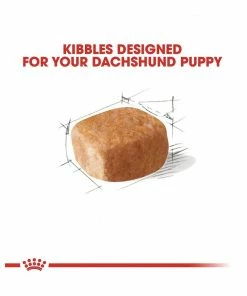 Royal Canin® Breed Health Nutrition® Dachshund Puppy Dry Dog Food, 2.5 lb. Bag -Pets & Wildlife Sales Store b88403e951fabf1ca5044abf561e0cf3bf66c38b 2022023163 1