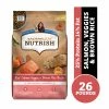 Rachael Ray Nutrish Real Salmon, Veggies & Brown Rice Recipe, Premium Dry Dog Food, 26 lb. Bag -Pets & Wildlife Sales Store b97f480cedcae16868858a87e06e46c0c22fa78d 2022016720