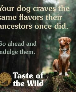 Taste of the Wild Grain Free Pine Forest Canine Recipe with Venison & Legumes, 28 lb. Bag - Dry Dog Food -Pets & Wildlife Sales Store b9b1c1da225e975d3621b16aad03d4b0e41d4d56 60610995 6