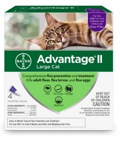 Advantage 2 Advantage II Large Cat Flea Control, 9+ lbs. / 4 Doses - Cat Flea & Tick