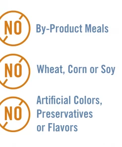 Chicken Soup for the Soul Kitten - Chicken & Turkey Pate Canned Wet Kitten Food, 5.5 oz. Can - Wet Cat Food 11 Chicken Soup for the Soul Kitten - Chicken & Turkey Pate Canned Wet Kitten Food, 5.5 oz. Can - Wet Cat Food -Pets & Wildlife Sales Store bb3477a5949e38f8db91e511760d1d8862eb7e2e 2022003836 1