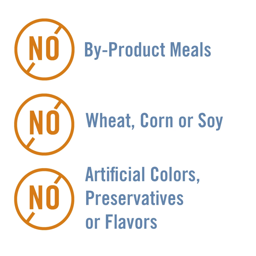 Chicken Soup for the Soul Kitten - Chicken & Turkey Pate Canned Wet Kitten Food, 5.5 oz. Can - Wet Cat Food 7 Chicken Soup for the Soul Kitten - Chicken & Turkey Pate Canned Wet Kitten Food, 5.5 oz. Can - Wet Cat Food - Image 5