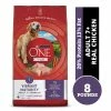 Purina ONE SmartBlend Vibrant Maturity Adult 7+ Formula Dry Dog Food with Real Chicken, 8 lb. Bag -Pets & Wildlife Sales Store bba83fb185da3f0434378bea887c44604e7013ad 352020254