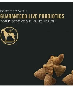 NESTLE PURINA PETCARE CO Purina Pro Plan Adult Complete Essentials Shredded Blend Turkey & Rice Probiotic Dry Dog Food, 33 lb. Bag -Pets & Wildlife Sales Store bc29f266e7646d219a58de807a7929fccf663bc3 35200604 2